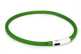 Kaelarihm Beeztees Dogini LED+USB, roheline hind ja info | Kaelarihmad ja traksid koertele | kaup24.ee