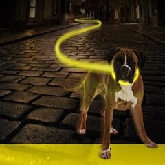 Koera kaelarihm Duvoplus USB 50-70cm, kollane hind ja info | Kaelarihmad ja traksid koertele | kaup24.ee