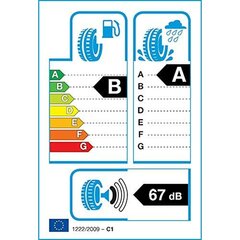 Auto rehv Dunlop SPORT Bluresonse 195/55VR16 цена и информация | Летняя резина | kaup24.ee