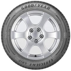 Шины для легковых автомобилей Goodyear EFFICIENTGRIP PERFORMANCE 205/55HR16 цена и информация | Летняя резина | kaup24.ee