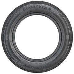 Auto rehv Goodyear EFFICIENTGRIP PERFORMANCE 195/50HR15 hind ja info | Suverehvid | kaup24.ee