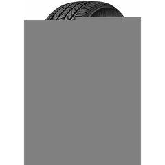 шина для квадроцикла Bridgestone DUELER H/P SPORT ALL SEASON 225/55VR18 цена и информация | Летняя резина | kaup24.ee