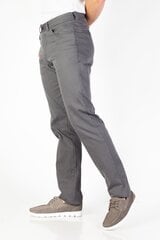 Мужские брюки BLK JEANS 83941000132206-31/34, серые цена и информация | Мужские брюки | kaup24.ee
