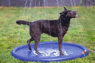 Koera matt Beeztees Sprinkler Stay Cool, 100cm hind ja info | Pesad, padjad | kaup24.ee
