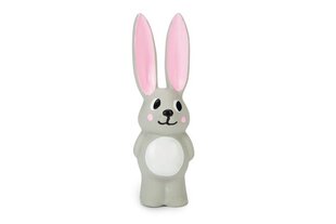 Kutsika mänguasi Puppy Latex rabbit Bula Beeztees 14cm, hall цена и информация | Игрушки для собак | kaup24.ee