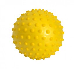 Massaažiball Sensyball, 28 cm hind ja info | Massaažikaubad | kaup24.ee