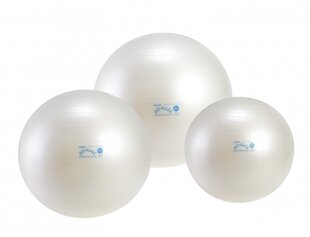 Pall Fit ball, 65 cm цена и информация | Гимнастические мячи | kaup24.ee