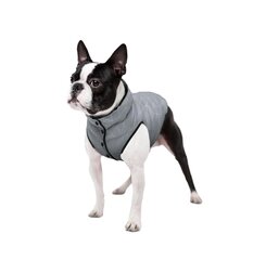 Koera vest Collar Waudog, helkiv, XS 22cm цена и информация | Одежда для собак | kaup24.ee