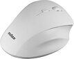 Nilox Wireless Mouse Nilox NXMOWI3002 White 3200 DPI hind ja info | Hiired | kaup24.ee