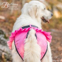 Koera jooksuajapüksid Finnero Ballerina XXS, roosa hind ja info | Riided koertele | kaup24.ee