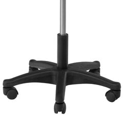 Стул мастера BEAUTY STOOL BLACK цена и информация | Мебель для салонов красоты | kaup24.ee