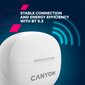 Canyon TWS-8 ENC White CNS-TWS8W цена и информация | Kõrvaklapid | kaup24.ee