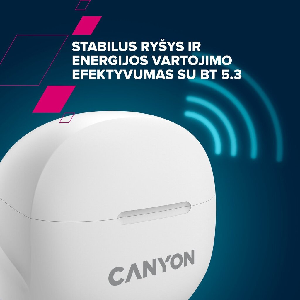 Canyon TWS-8 ENC Black CNS-TWS8B цена и информация | Kõrvaklapid | kaup24.ee