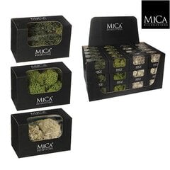 Dekoratiivne Taim Mica Decorations 50 g Sammal hind ja info | Kunstlilled | kaup24.ee