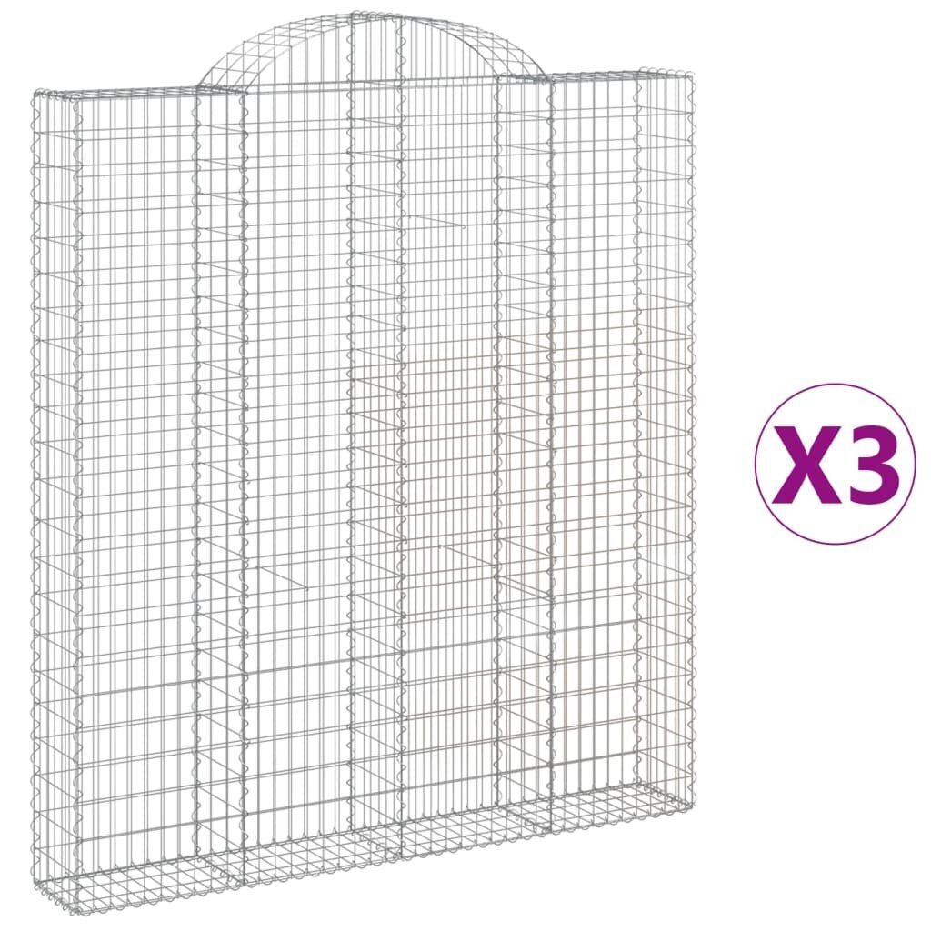 vidaXL kaarekujulised gabioonkorvid 3 tk, 200x30x220/240 cm, raud hind ja info | Dekoratiivsed lillepotid | kaup24.ee