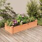 vidaXL aia taimelava, pruun, 120 x 45 x 25 cm, nulupuit hind ja info | Lillekastid | kaup24.ee