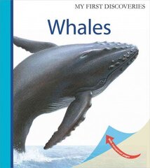 Whales цена и информация | Книги для подростков и молодежи | kaup24.ee