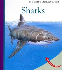 Sharks цена и информация | Книги для подростков и молодежи | kaup24.ee
