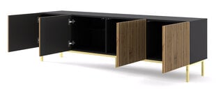 ТВ-столик Ravenna, коричневый/черный цена и информация | Тумбы под телевизор | kaup24.ee