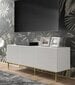 TV-kapp Akl Furniture Ravenna, valge цена и информация | TV alused | kaup24.ee