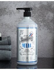 Kõõmavastane juuksešampoon Beardburys Vital, 1000 ml цена и информация | Шампуни | kaup24.ee