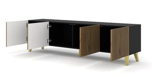 ТВ-столик Ravenna, коричневый/черный цена и информация | Тумбы под телевизор | kaup24.ee