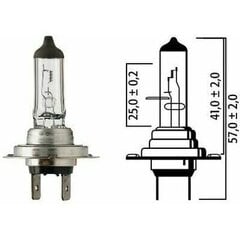 Auto pirn Flosser H7 12V 55W цена и информация | Автомобильные лампочки | kaup24.ee