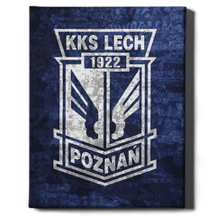 Värvi numbri järgi Raamis "Lech Poznań" Oh Art! 40x50 cm hind ja info | Maalid numbri järgi | kaup24.ee