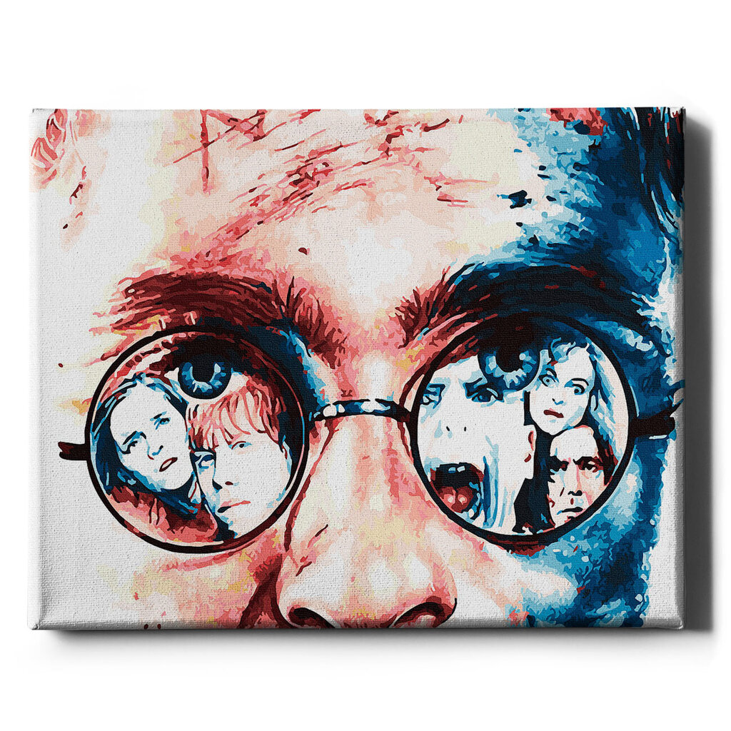 Värvi numbri järgi Raamis "Harry Potteri elu" Oh Art! 40x50 cm hind ja info | Maalid numbri järgi | kaup24.ee