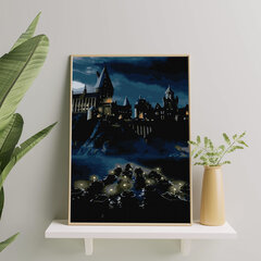 Värvi numbri järgi Raamis "Hogwart" Oh Art! 40x50 cm hind ja info | Maalid numbri järgi | kaup24.ee