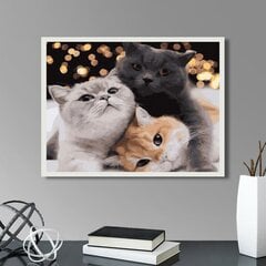 Värvi numbri järgi Raamis "Kolm kassipoega" Oh Art! 40x50 cm hind ja info | Maalid numbri järgi | kaup24.ee