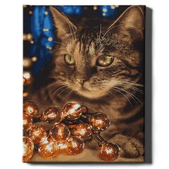 Картина по номерам На Раме "Кошка с огоньками" Oh Art! 40x50 см цена и информация | Живопись по номерам | kaup24.ee