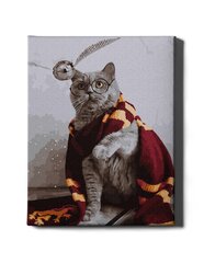Värvi numbri järgi Raamis "Maagiline kass" Oh Art! 40x50 cm цена и информация | Живопись по номерам | kaup24.ee