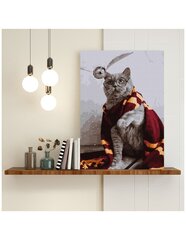 Värvi numbri järgi Raamis "Maagiline kass" Oh Art! 40x50 cm hind ja info | Maalid numbri järgi | kaup24.ee