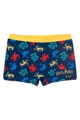 Poiste ujumispüksid Sun City Harry Potter WE1827 02, sinine/kollane hind ja info | Poiste ujumispüksid | kaup24.ee