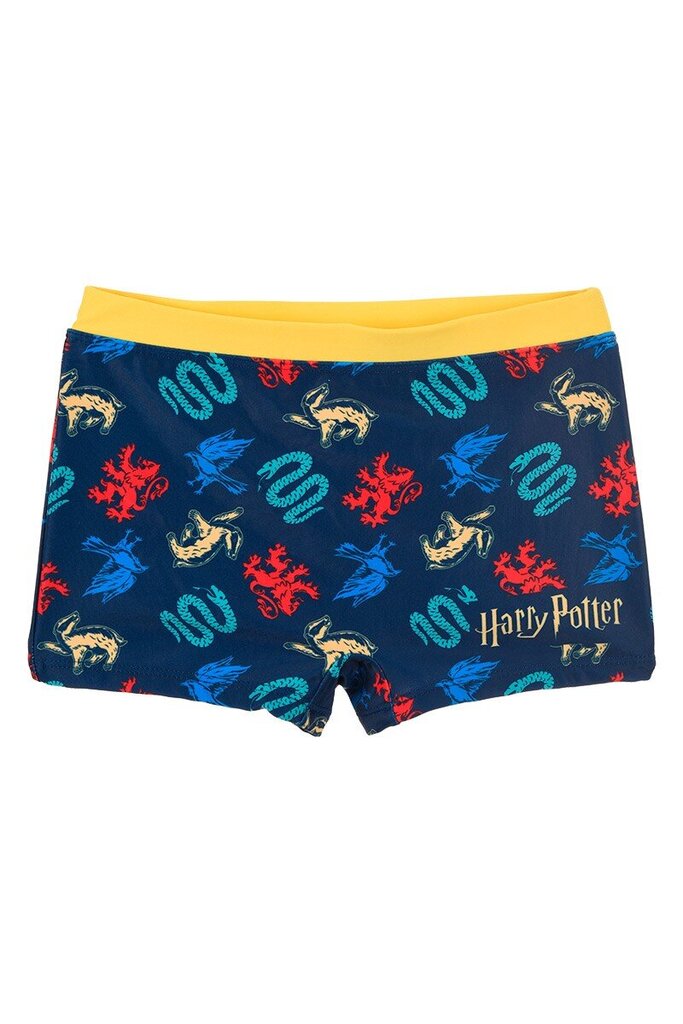 Poiste ujumispüksid Sun City Harry Potter WE1827 02, sinine/kollane цена и информация | Poiste ujumispüksid | kaup24.ee