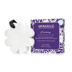 Парфюмированная губка Spongelle Boxed White Flower - Blackberry цена и информация | Масла, гели для душа | kaup24.ee