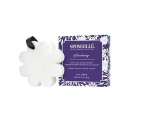 Парфюмированная губка Spongelle Boxed White Flower - Blackberry цена и информация | Масла, гели для душа | kaup24.ee