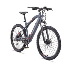 Электровелосипед Telefunken MTB E-Bike Aufsteiger M922, серый цвет цена и информация | Электровелосипеды | kaup24.ee