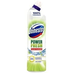 Domestos Hygiene WC Clean Lime, 6 tk. x 700 ml цена и информация | Очистители | kaup24.ee