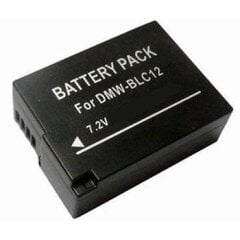 Panasonic, baterija DMW-BLC12 7.2V, 1200 mAh, Li  цена и информация | Аккумуляторы, батарейки | kaup24.ee