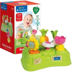 Sorter värviline aed köögiviljade kuju Baby Clementoni цена и информация | Игрушки для малышей | kaup24.ee