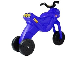 Enduro Rider kolmerattaline jalgratas, sinine hind ja info | Imikute mänguasjad | kaup24.ee