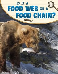 Is It a Food Web or a Food Chain? hind ja info | Noortekirjandus | kaup24.ee