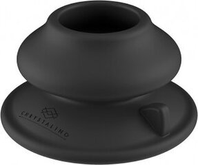 Klaasist vibraator Chrystalino hind ja info | Vibraatorid | kaup24.ee