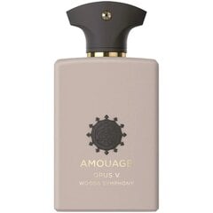 Parfüümvesi Amouage Opus V EDP meestele/naistele, 100 ml hind ja info | Naiste parfüümid | kaup24.ee