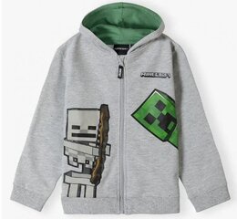 Minecraft Poiste kampsunid, vestid ja jakid