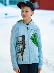 Детский свитер на молнии Minecraft 5056463483978 цена и информация | Свитеры, жилетки, пиджаки для мальчиков | kaup24.ee