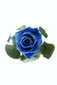 Dekoratiivne roos Amorosa Sinine цена и информация | Uinuvad roosid, taimed | kaup24.ee
