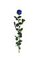 Dekoratiivne roos Amorosa Sinine цена и информация | Uinuvad roosid, taimed | kaup24.ee